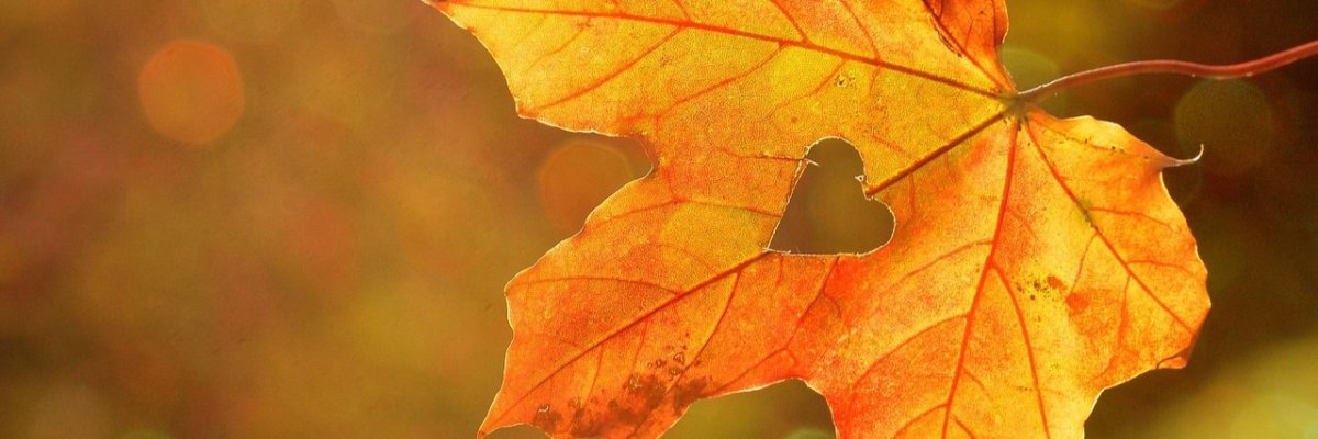 Herfstkriebels: zo maak je daten extra gezellig in het najaar